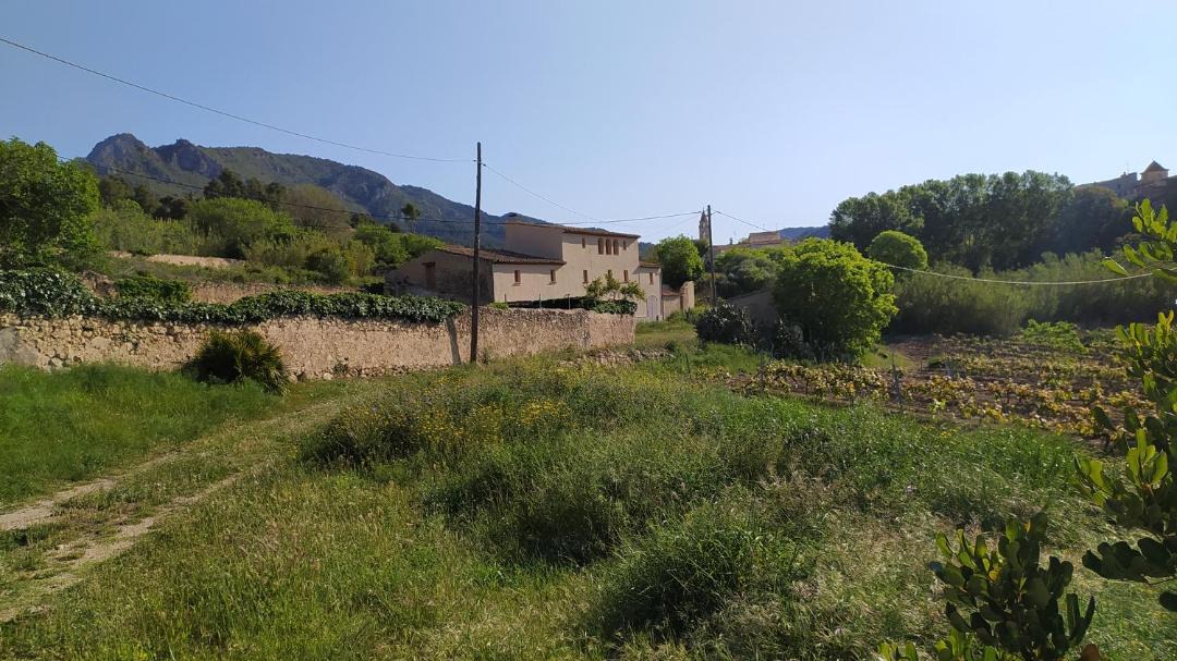 Photo of Outdoor in El Montmell