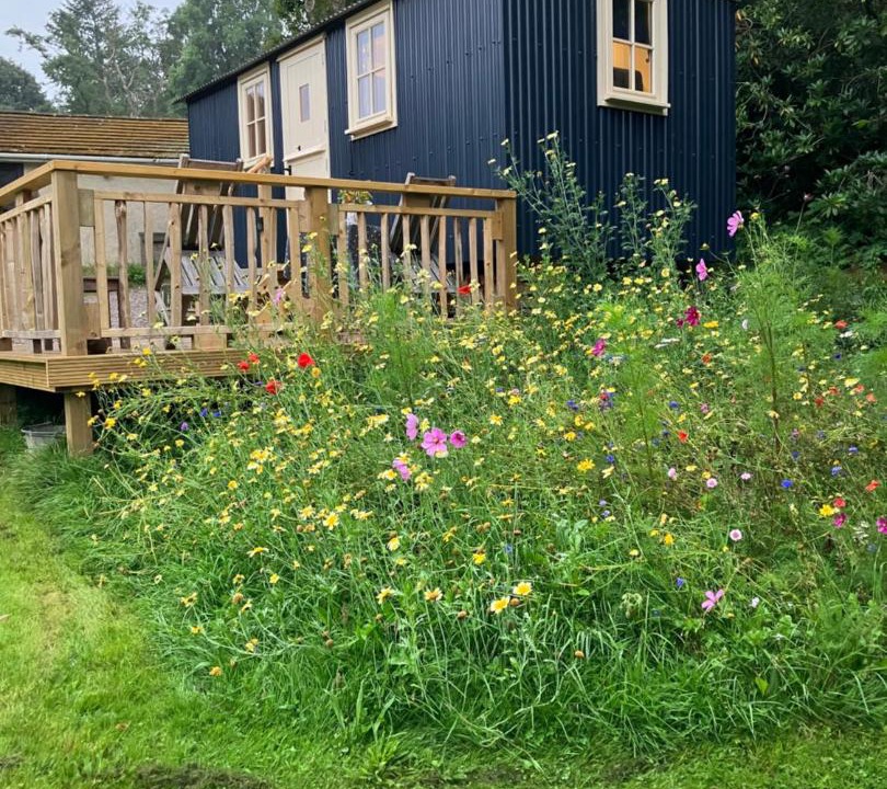 Photo of Others in Haslemere