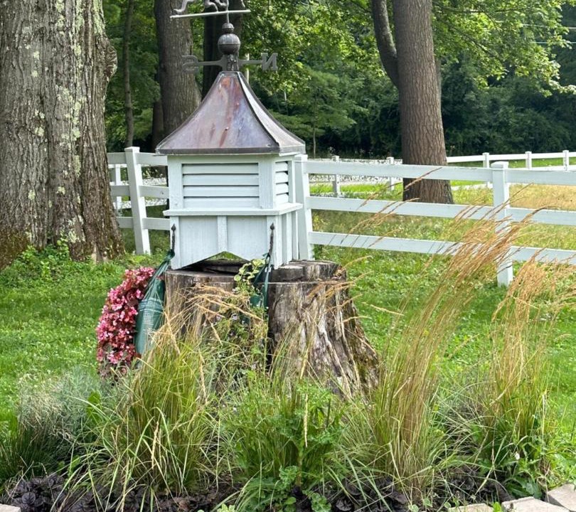 Photo of Others in Richmond