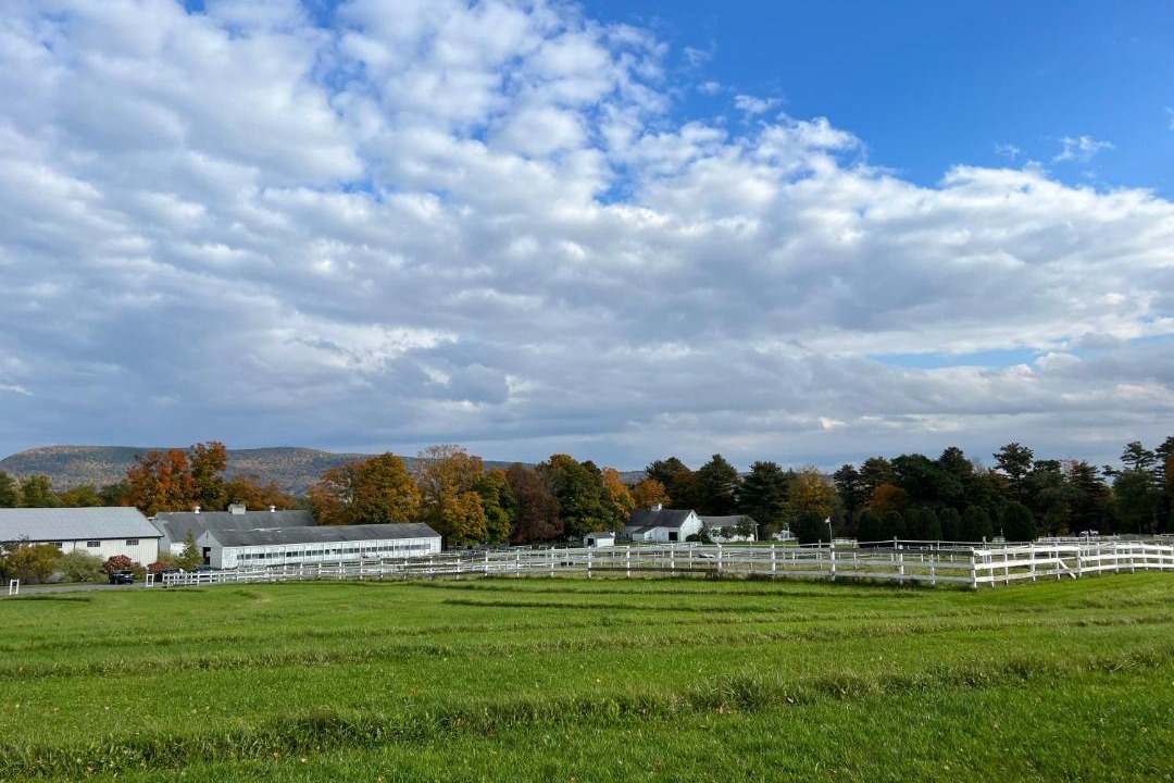 Photo of Others in Richmond