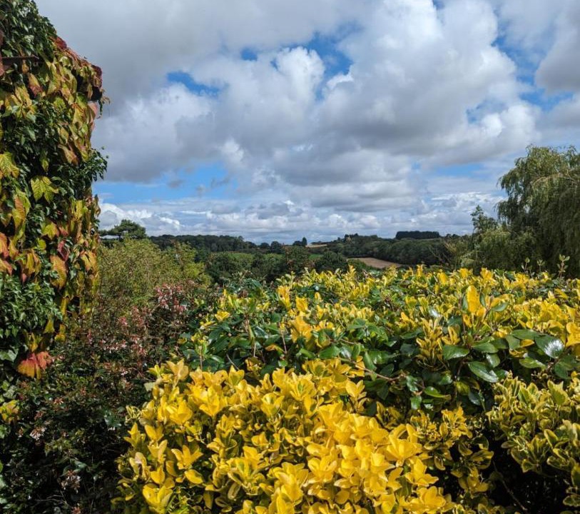 Photo of Others in Castle Bytham