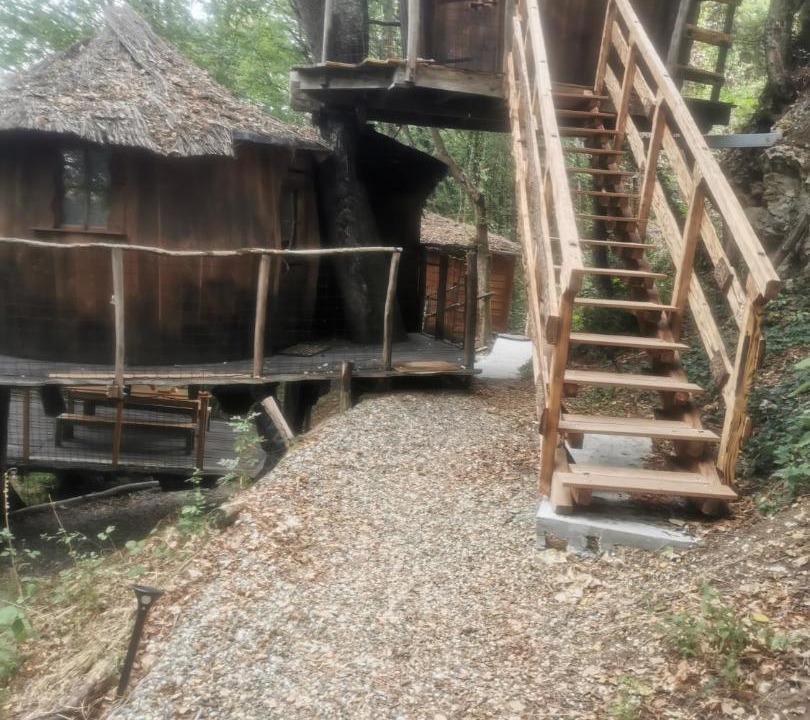 Photo of Others in Pons