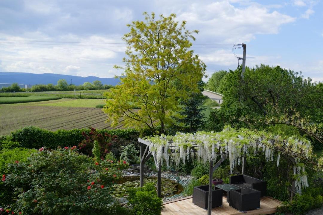 Photo of Others in Sermersheim