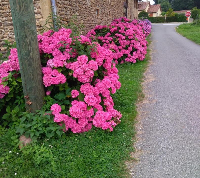 Photo of Outdoor in Galan