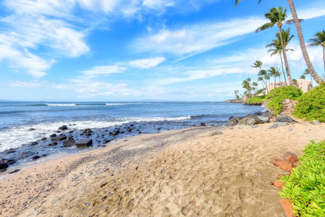 Photo of Others in Maalaea