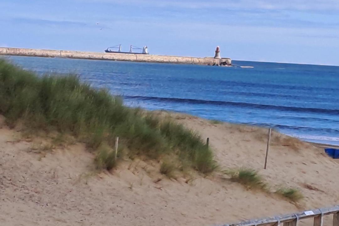 Photo of Others in South Shields