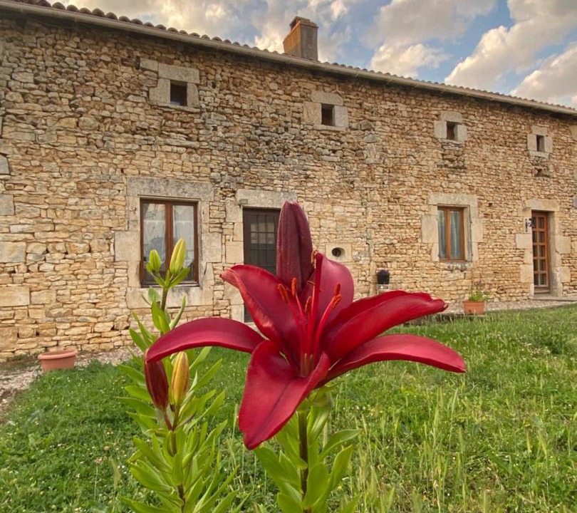 Photo of Others in Savigne