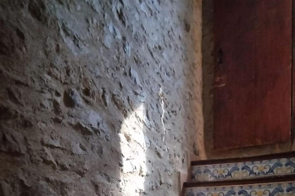 Photo of Others in Vilafranca