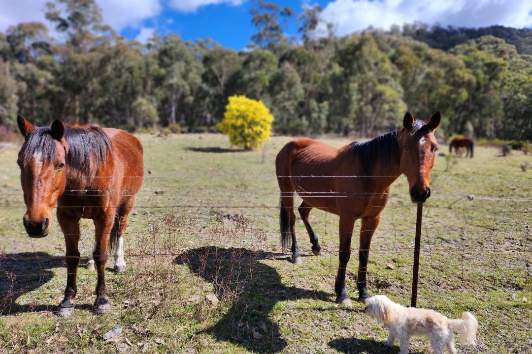 Photo of Others in Hartley