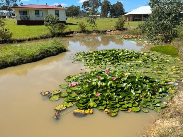 Photo of Others in Clarence Town