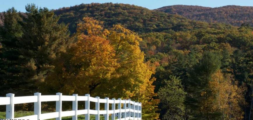 Photo of Others in Richmond