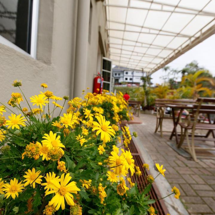 Photo of Others in Tanah Rata