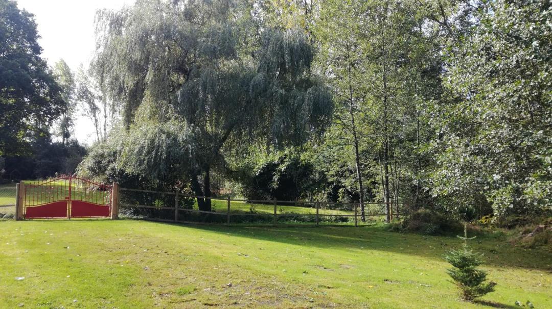 Photo of Others in Saint-Aubin-des-Bois
