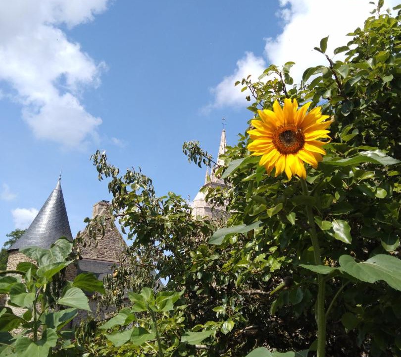 Photo of Others in Minihy-Treguier