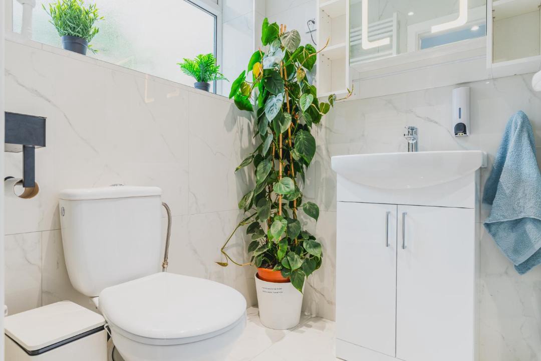 Photo of Others in Sneinton