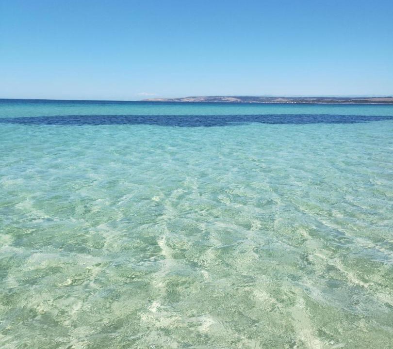 Photo of Others in Island Beach