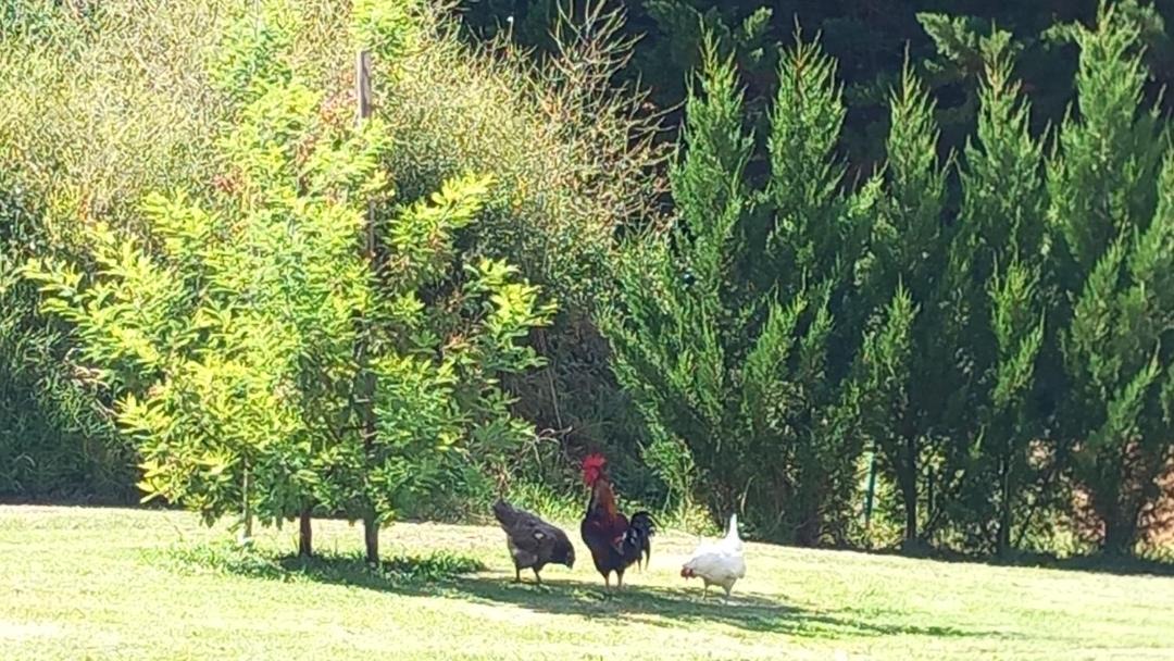 Photo of Others in Perville