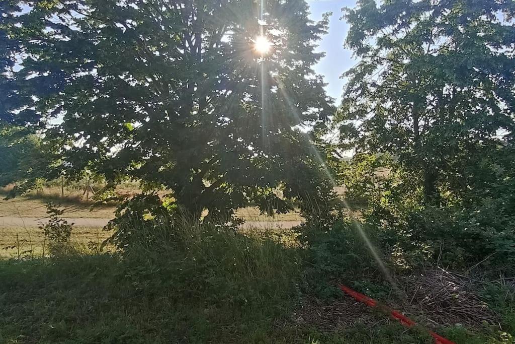 Photo of Outdoor in Denain