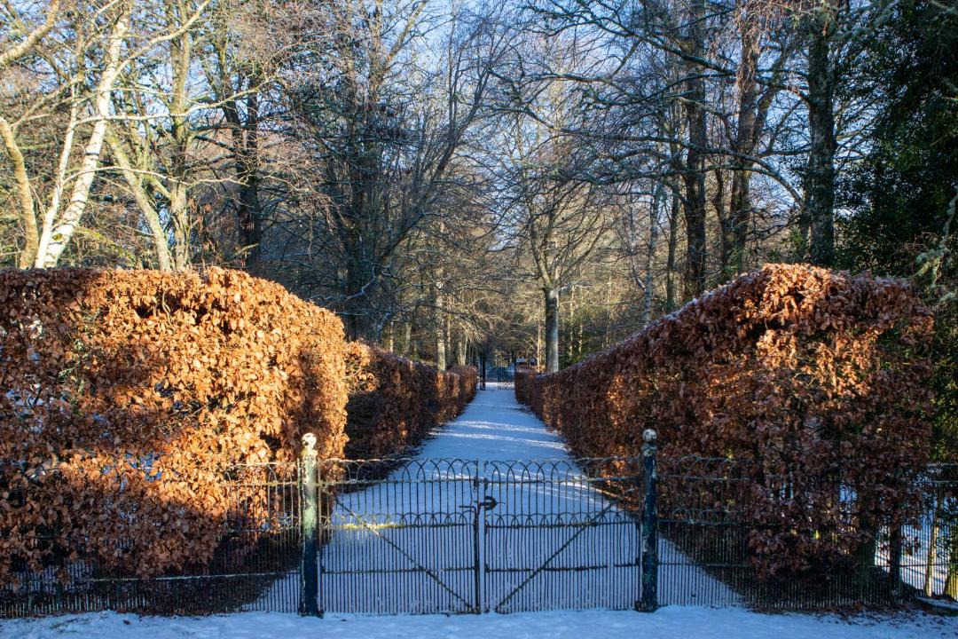Photo of Livingroom in Selkirk