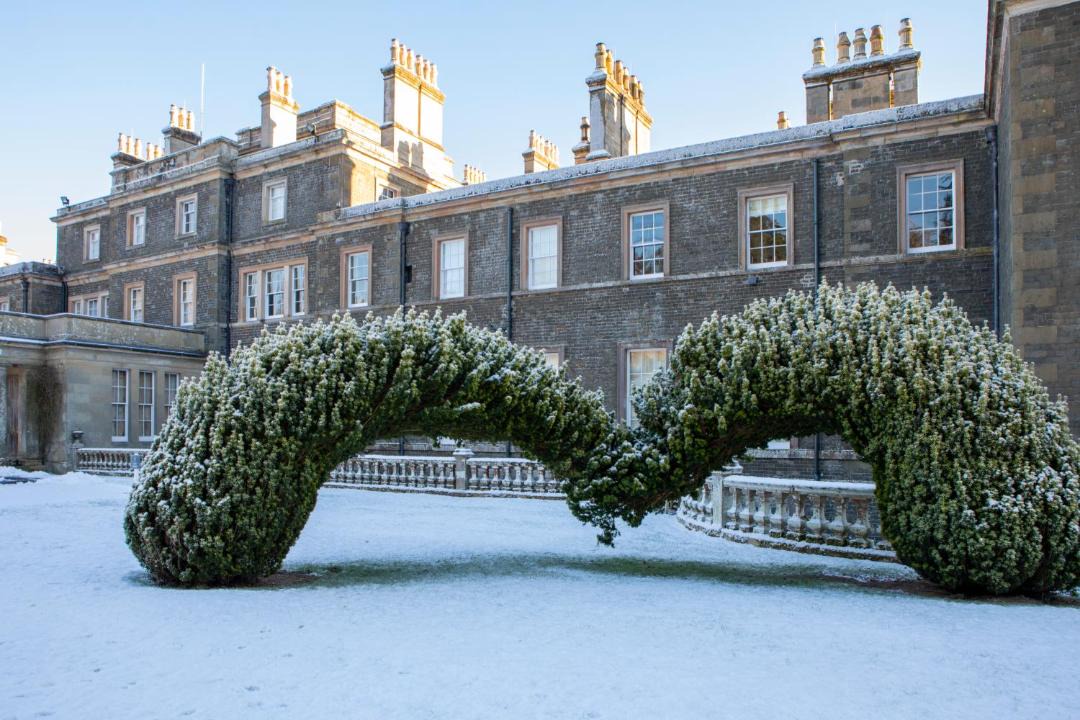 Photo of Buildings in Selkirk