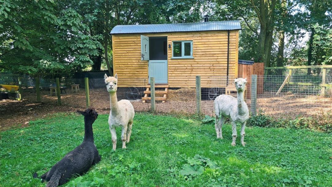 Photo of Others in Littleport