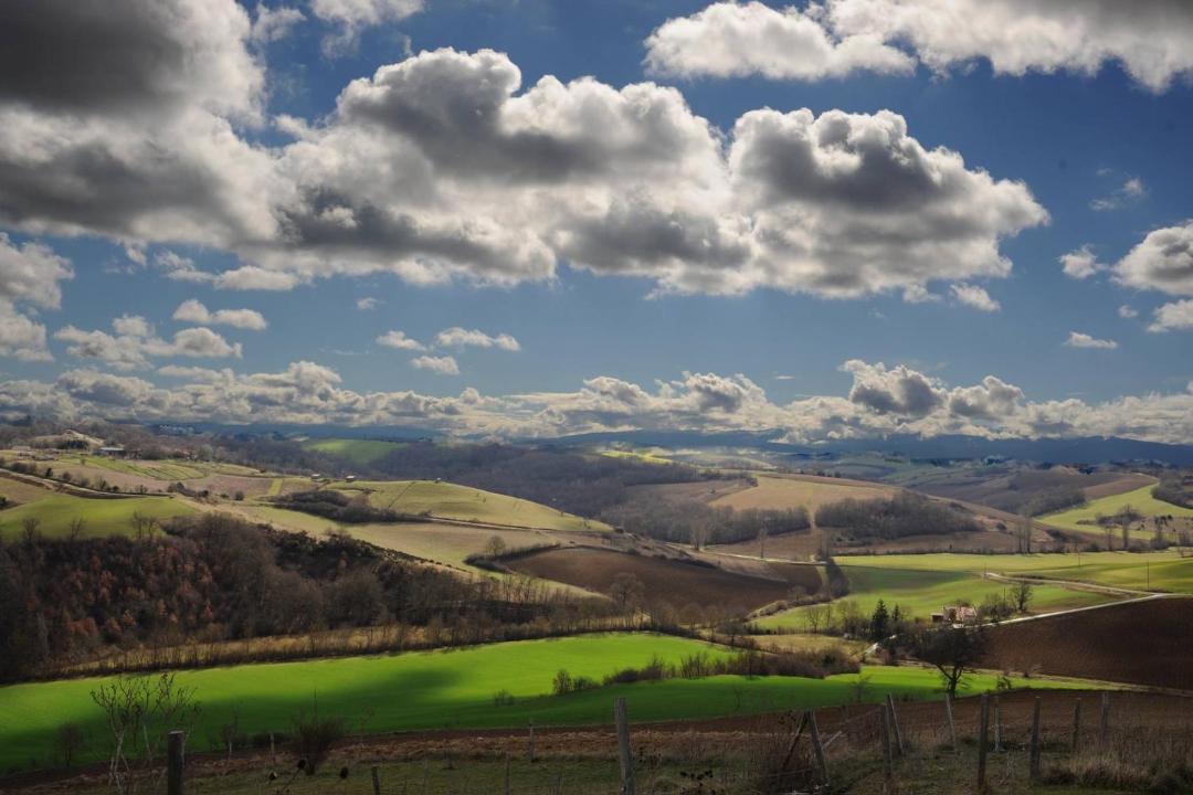 Photo of Others in Gaillac-Toulza
