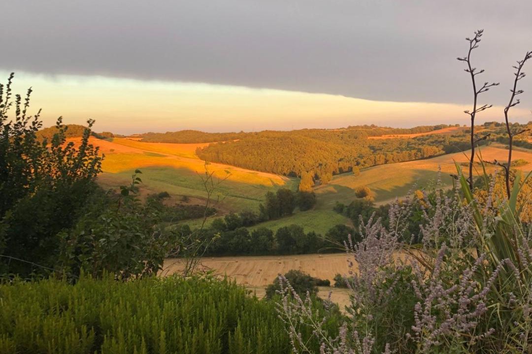 Photo of Others in Gaillac-Toulza