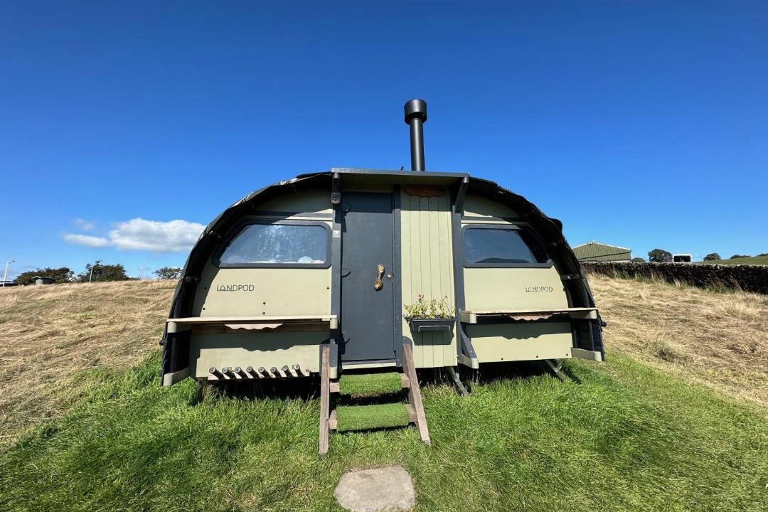 Photo of Others in Fence