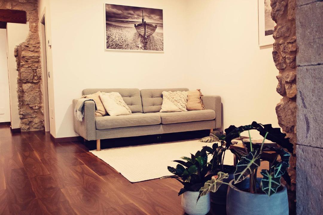 Photo of Livingroom in Pedret