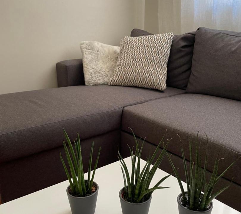 Photo of Others in Hyeres City Centre