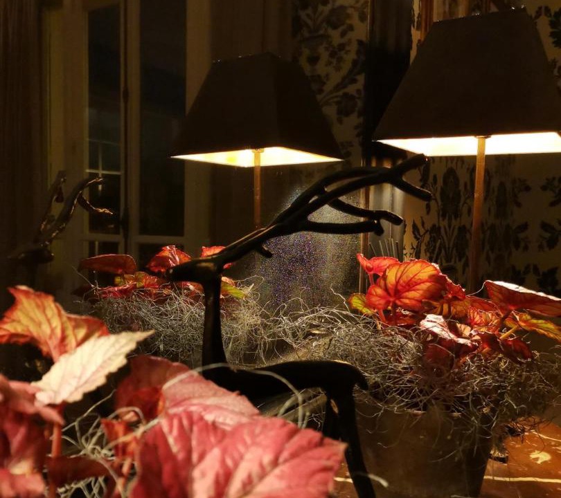 Photo of Others in Les Veneurs