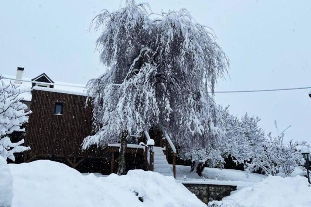 Photo of Others in Collonges-sous-Saleve