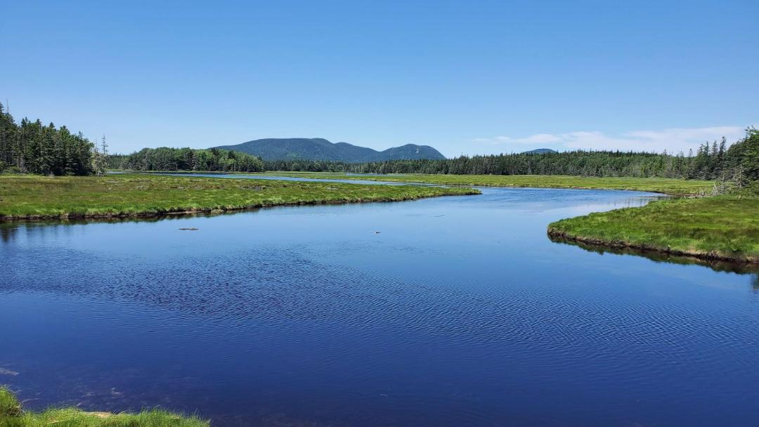 Photo of Outdoor in Bass Harbor
