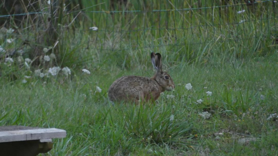 Photo of Outdoor in Menil