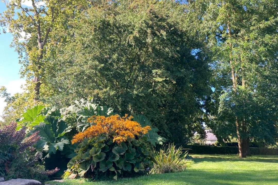 Photo of Outdoor in Bracquetuit