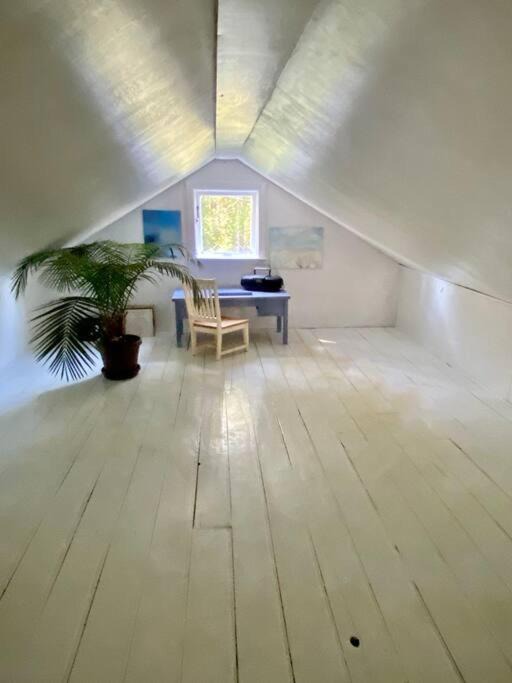 Photo of Others in Ocean Park