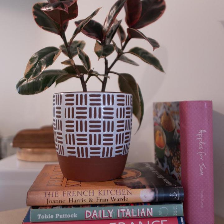 Photo of Others in Tanunda