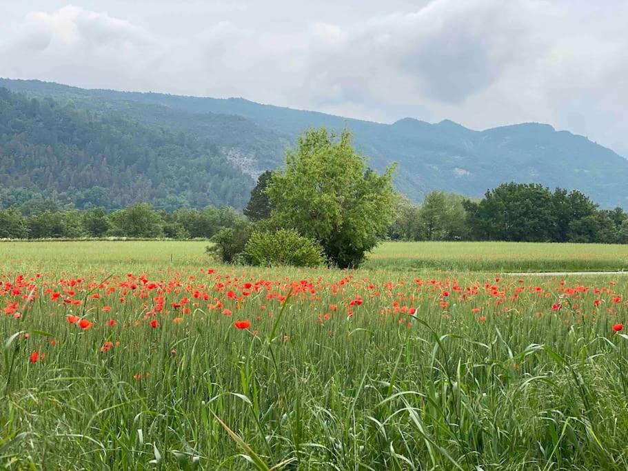 Photo of Others in Piegros-la-Clastre