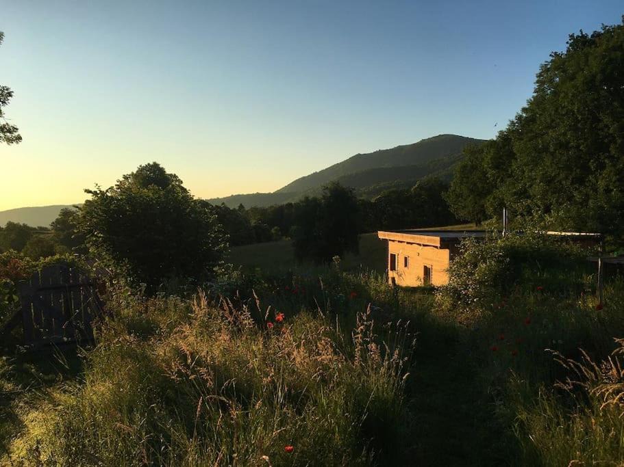 Photo of Others in Montels