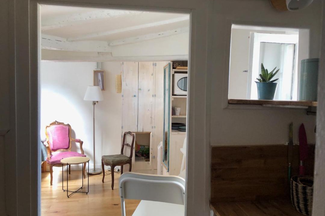 Photo of Others in Notre-Dame