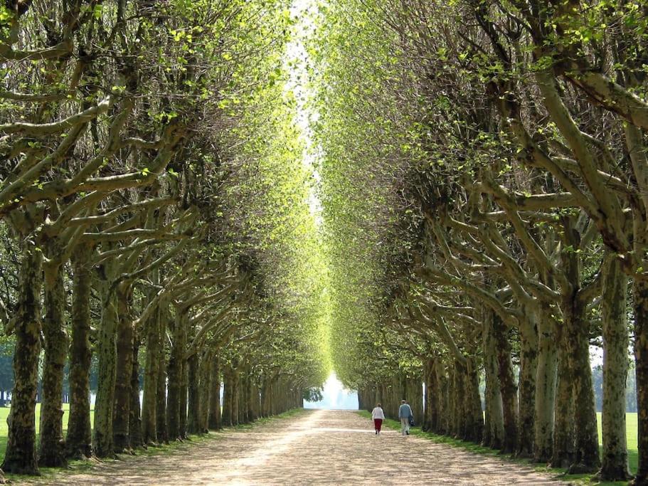 Photo of Others in Meudon