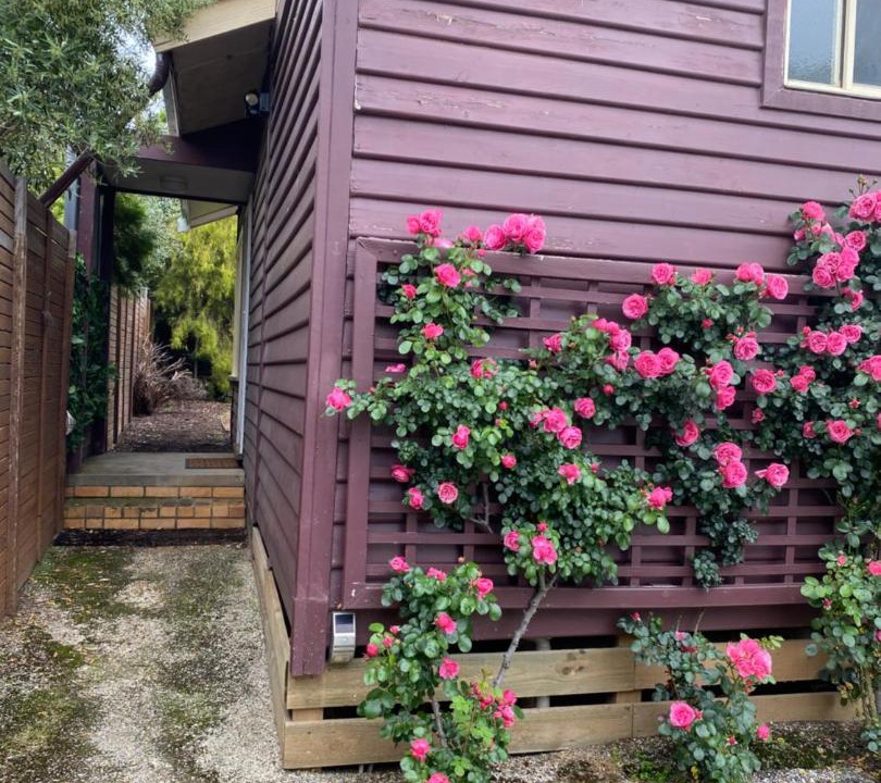 Photo of Others in Maryborough