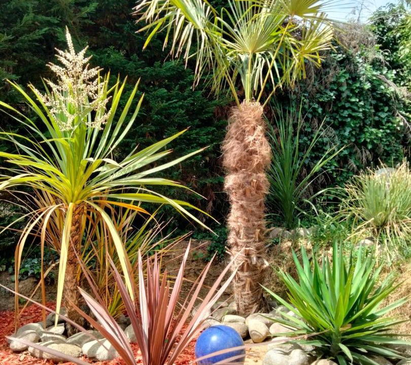 Photo of Outdoor in Les Serres - Vivier