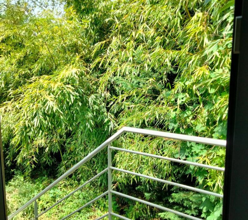 Photo of Patio Balcony in Les Serres - Vivier