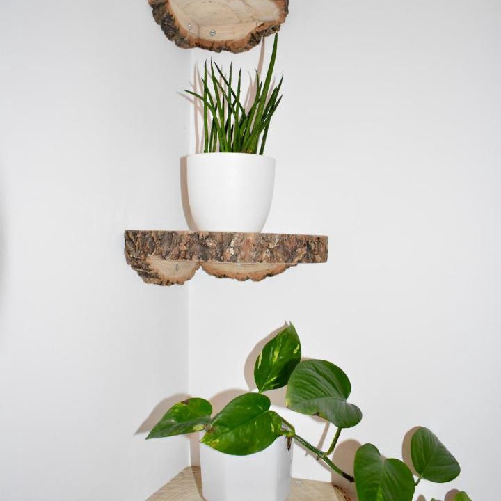 Photo of Others in Fairfield