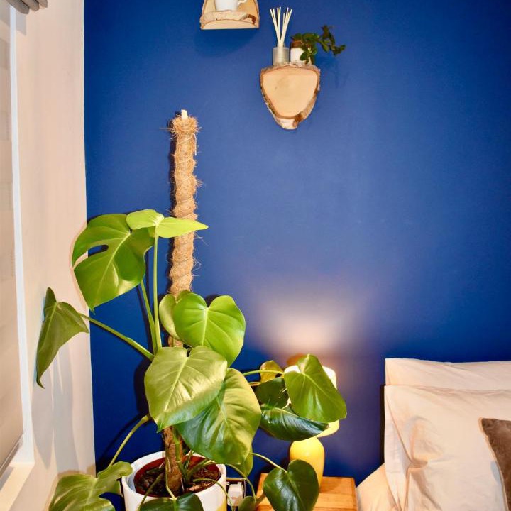 Photo of Others in Fairfield