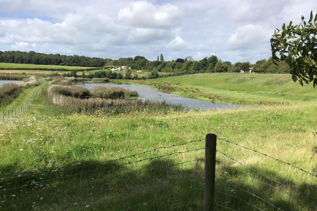 Photo of Outdoor in Grimley