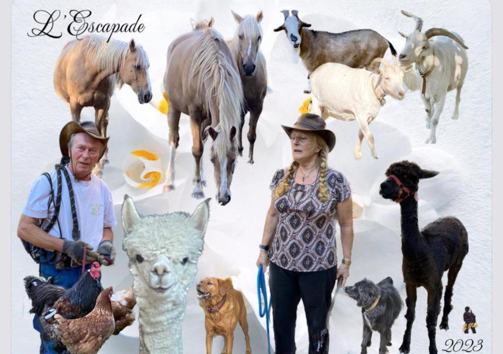 Photo of Others in Pont-de-Salars