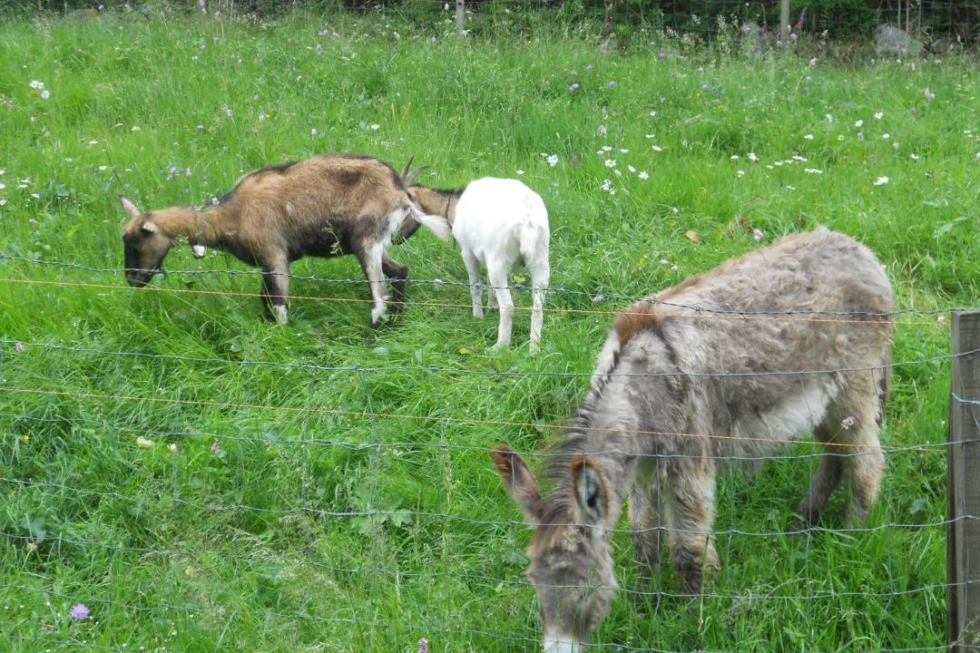 Photo of Others in Xonrupt-Longemer
