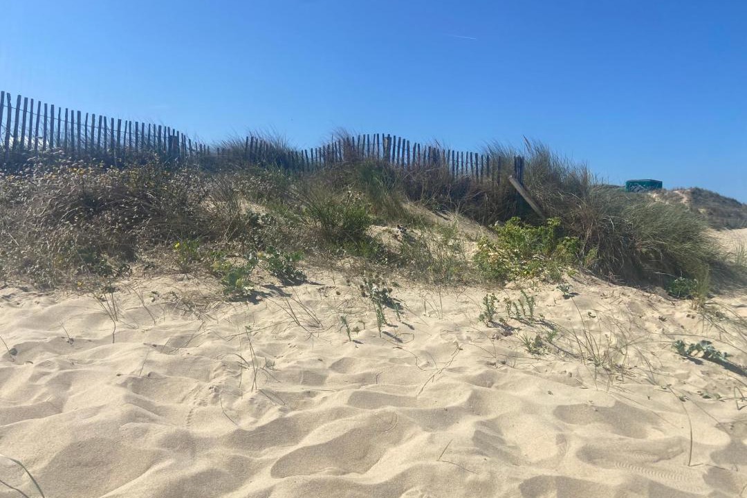 Photo of Others in Bleriot-Plage